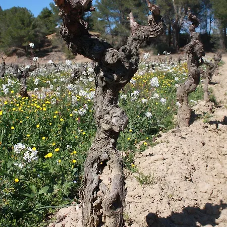 Domaine Saint Antoine Casa vacanze *