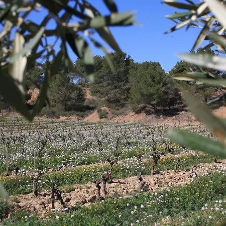 Domaine Saint Antoine *