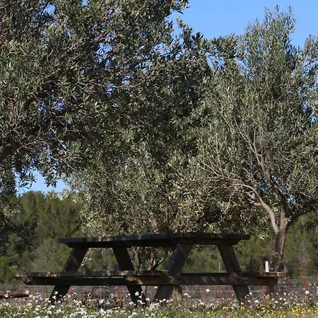 Casa vacanze Domaine Saint Antoine Rieux-Minervois