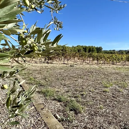 Domaine Saint Antoine Casa vacanze