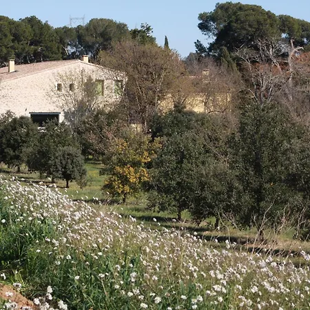 Domaine Saint Antoine Rieux-Minervois