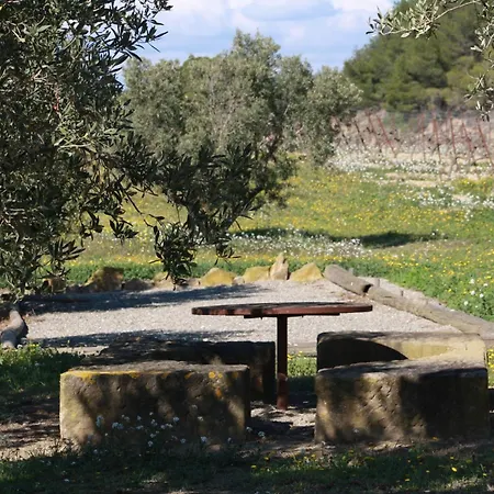 Domaine Saint Antoine