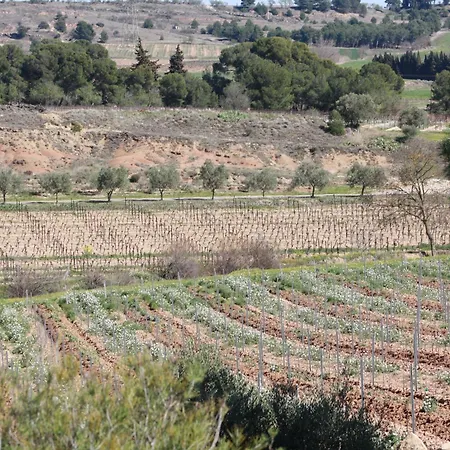 Domaine Saint Antoine Casa vacanze Rieux-Minervois