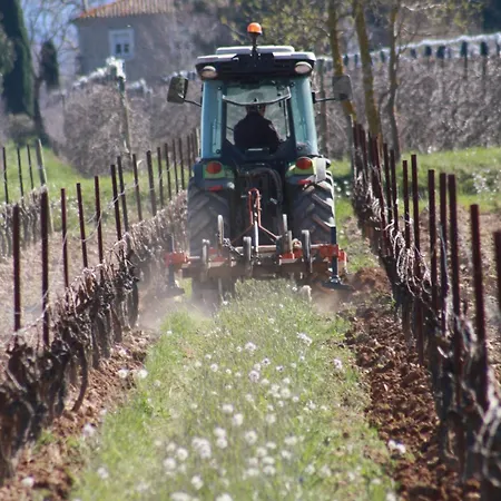 Domaine Saint Antoine Rieux-Minervois