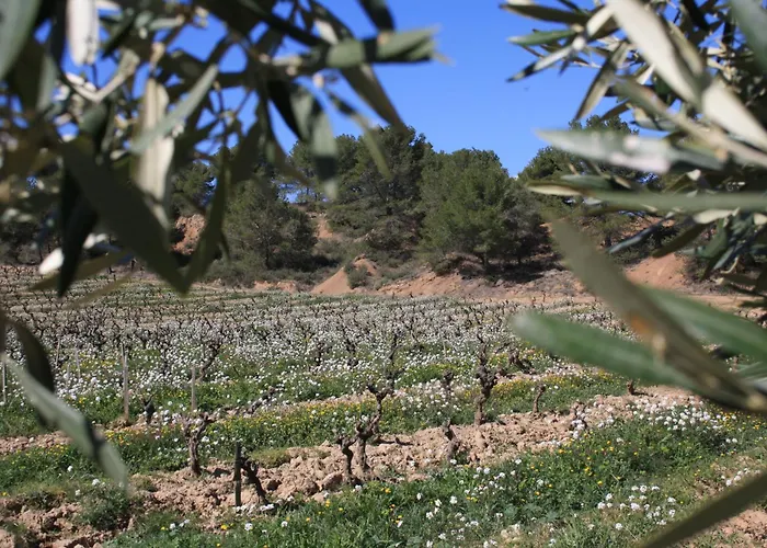 Domaine Saint Antoine *