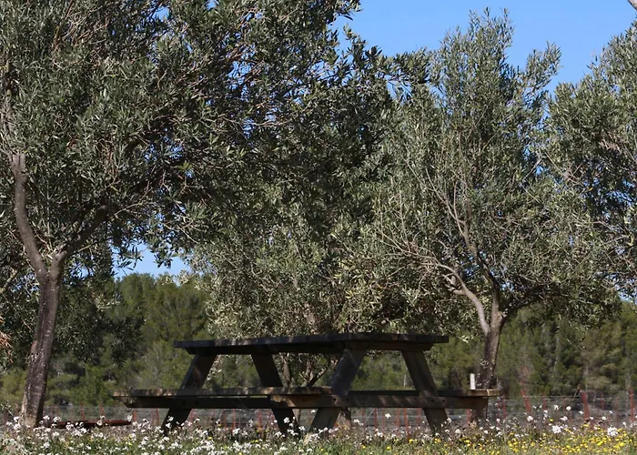 Dom wakacyjny Domaine Saint Antoine Rieux-Minervois