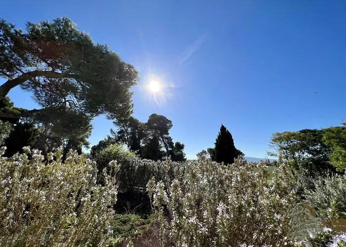 Domaine Saint Antoine *