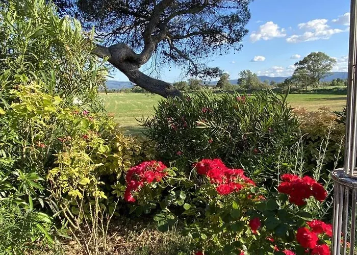 Domaine Saint Antoine Rieux-Minervois