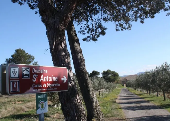 Domaine Saint Antoine