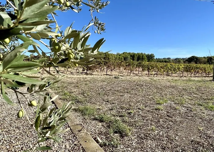 Domaine Saint Antoine Dom wakacyjny