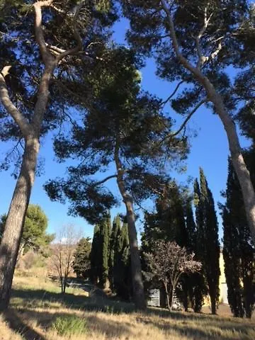 Domaine Saint Antoine Dom wakacyjny