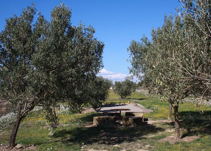 Domaine Saint Antoine Dom wakacyjny Rieux-Minervois
