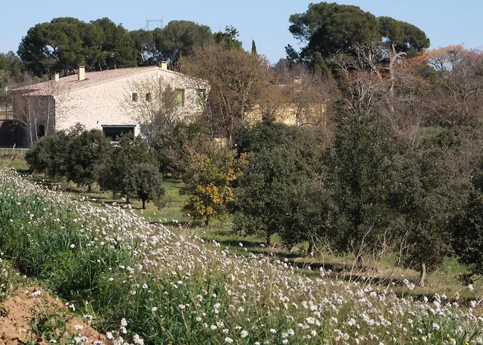 Domaine Saint Antoine Rieux-Minervois