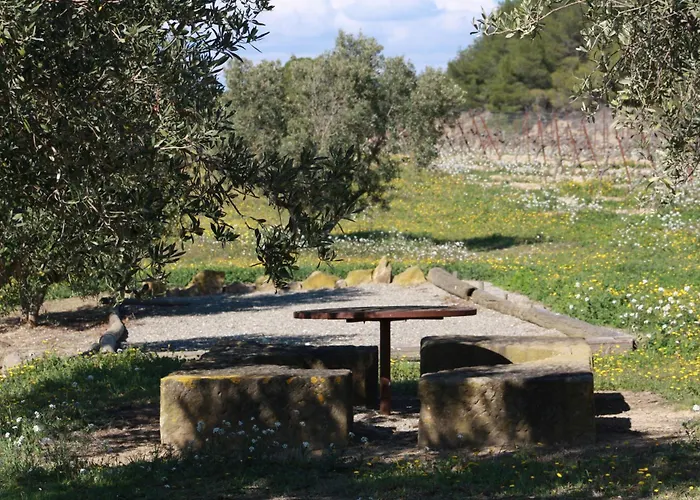 Domaine Saint Antoine