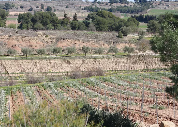 Domaine Saint Antoine Dom wakacyjny Rieux-Minervois
